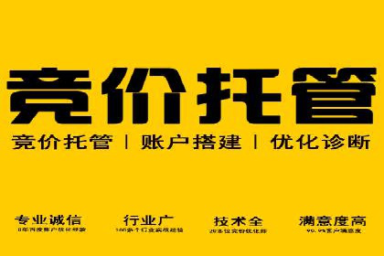 抖音信息流广告代理服务的市场现状与未来趋势